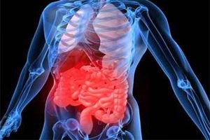Методы, позволяющие определить язву желудка: УЗИ, ФГДС, рентгенологические признаки, тесты, биопсия